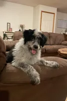 processed/60a45347-7a33-4fff-9ad8-59bd0b112557/listing/503873c9-7729-4856-803b-7ddb6f91387f/18d85d99-d869-4ae3-aeef-61704e8c51c8