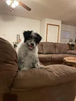 processed/60a45347-7a33-4fff-9ad8-59bd0b112557/listing/503873c9-7729-4856-803b-7ddb6f91387f/62315010-79a0-47a8-b9ac-e1a6adf78cae