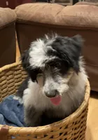 processed/60a45347-7a33-4fff-9ad8-59bd0b112557/listing/503873c9-7729-4856-803b-7ddb6f91387f/cac1951a-6ab9-4a6a-8832-b3877316ecd4