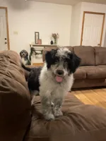 processed/60a45347-7a33-4fff-9ad8-59bd0b112557/listing/503873c9-7729-4856-803b-7ddb6f91387f/cc898cff-dbce-431d-a1cf-64fc8286bdd0