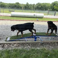 processed/60a51d1e-036d-419f-80b0-68bb48c5073e/facility/b139da23-a6ca-4230-9ea9-5bef17e64e24