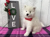 processed/60a51d1e-036d-419f-80b0-68bb48c5073e/listing/0d122dbf-5067-48d5-837c-812149d9c518/6d50f9c8-2d9f-4b04-bb9d-3277224c25dc