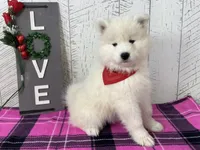 processed/60a51d1e-036d-419f-80b0-68bb48c5073e/listing/0d122dbf-5067-48d5-837c-812149d9c518/ee7899b7-3550-45a0-a9c5-f5021c9c1122