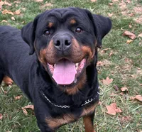 processed/60a51d1e-036d-419f-80b0-68bb48c5073e/listing/24412daa-c2a7-471e-8f19-580c2d07f655/8be1d6d3-364d-44f0-bd3c-4f2d4680a109