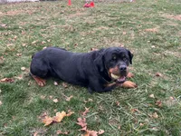 processed/60a51d1e-036d-419f-80b0-68bb48c5073e/listing/24412daa-c2a7-471e-8f19-580c2d07f655/aeb61c62-62dc-4861-b6bd-18e2b6f31545