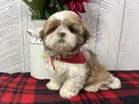 processed/60a51d1e-036d-419f-80b0-68bb48c5073e/listing/36110b62-dc80-4dbf-a6b3-83113f9aa310/6d1d3f63-26de-482a-9460-16167f5769eb