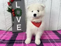 processed/60a51d1e-036d-419f-80b0-68bb48c5073e/listing/8a8630ac-ee15-4a33-8ce8-1184b04fef5a/58a6adbb-ddee-4f8c-a591-bf599b472c3a