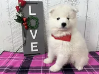 processed/60a51d1e-036d-419f-80b0-68bb48c5073e/listing/8a8630ac-ee15-4a33-8ce8-1184b04fef5a/959cc5b4-74dc-4d87-9ccd-eb0e2f76f57c