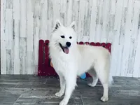 processed/60a51d1e-036d-419f-80b0-68bb48c5073e/listing/e49e9f20-9e4a-44e4-8fbb-8ac4d30cd004/605fbfba-b553-4821-b0d3-470834f9bb4c