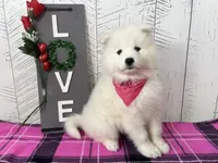 processed/60a51d1e-036d-419f-80b0-68bb48c5073e/listing/e49e9f20-9e4a-44e4-8fbb-8ac4d30cd004/b89de650-265a-4b77-9905-0b09c003f402