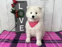 processed/60a51d1e-036d-419f-80b0-68bb48c5073e/listing/e49e9f20-9e4a-44e4-8fbb-8ac4d30cd004/bbecbb1c-8152-4729-834f-8d9363bd29bf