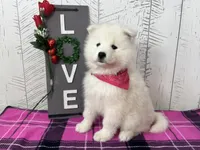 processed/60a51d1e-036d-419f-80b0-68bb48c5073e/listing/e49e9f20-9e4a-44e4-8fbb-8ac4d30cd004/c2453ff6-3a79-48b1-945b-949eefc72612