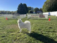 processed/60a51d1e-036d-419f-80b0-68bb48c5073e/listing/ea426890-455a-40fd-90b2-46e832f232f6/051451db-3caf-4a80-a771-082e97463aa3