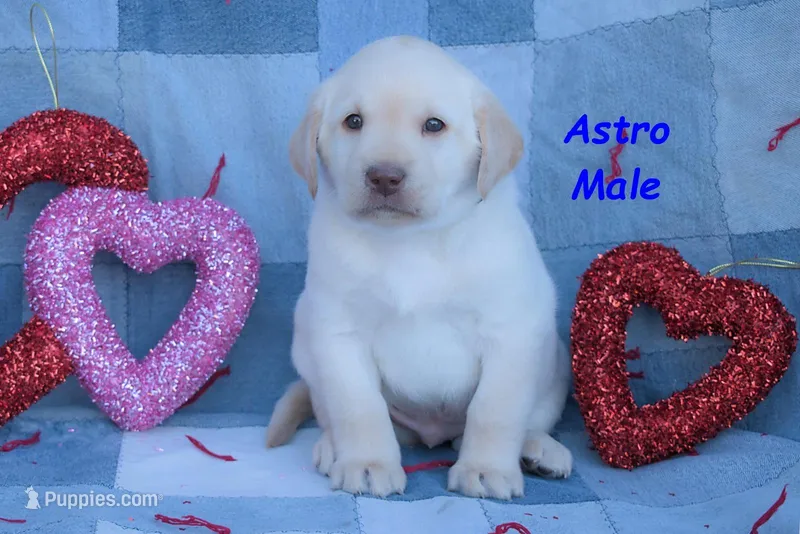 Astro