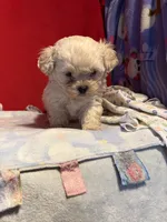 processed/60bab93d-034e-4e00-bddd-eac77629ff3c/listing/5eaf955f-1379-4616-be9d-d79cf4022616/2089054a-4e3f-4d71-8663-d7bae5380bac