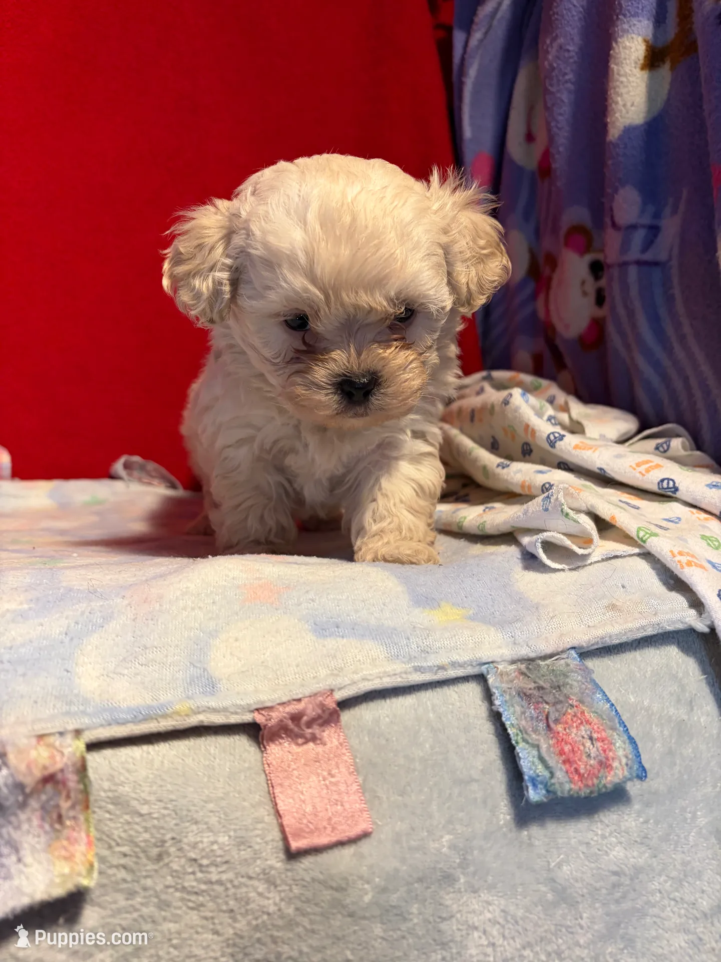 processed/60bab93d-034e-4e00-bddd-eac77629ff3c/listing/5eaf955f-1379-4616-be9d-d79cf4022616/e007cf45-6003-4f74-be55-6fa8eb71e6d1