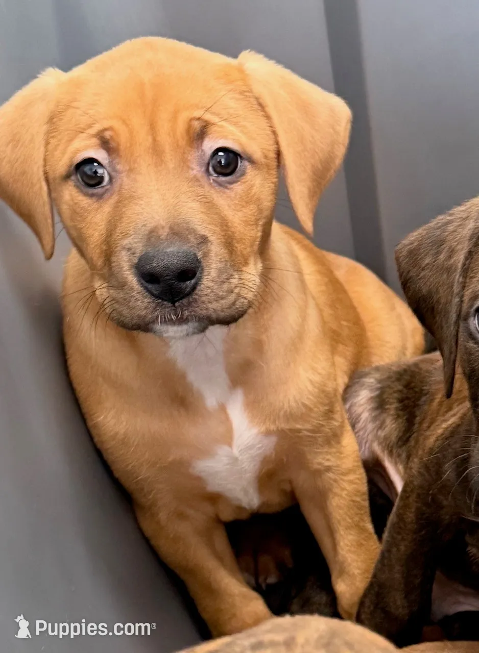 processed/60c1b7dd-eb4b-4084-b47b-486ad0a2c4bb/listing/ca2961ca-aae5-44ce-88ce-0213ef0cce91/962b16e7-3502-4679-8f06-0c471103eaa0