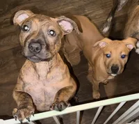 processed/60c1b7dd-eb4b-4084-b47b-486ad0a2c4bb/listing/ca2961ca-aae5-44ce-88ce-0213ef0cce91/e80efdc2-a9c8-4eb9-9312-6f100f655281