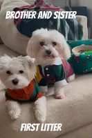 processed/60c51af8-0468-450d-8e2d-c43901f3d0f6/facility/1f388c3b-2c6f-4b83-a7af-8d1cbe109040