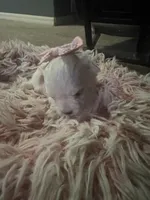 processed/60c51af8-0468-450d-8e2d-c43901f3d0f6/facility/302f0426-92b4-4c22-8849-8598a46b14e2