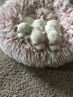 processed/60c51af8-0468-450d-8e2d-c43901f3d0f6/facility/47b9b8e6-9647-4b10-8076-0b5e58cef931