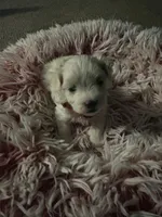 processed/60c51af8-0468-450d-8e2d-c43901f3d0f6/facility/a019f37b-5a71-4637-a22c-e190b5be1d62