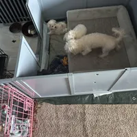 processed/60c51af8-0468-450d-8e2d-c43901f3d0f6/facility/cd8ec2ad-09dd-43bf-b603-47cef719728c