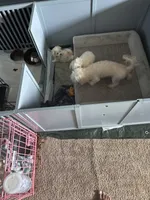 processed/60c51af8-0468-450d-8e2d-c43901f3d0f6/facility/cd8ec2ad-09dd-43bf-b603-47cef719728c