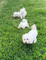 processed/60c51af8-0468-450d-8e2d-c43901f3d0f6/facility/ffdc4fa9-7504-4b83-b7db-114b9ff65e98