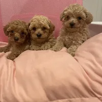 processed/60c7e974-94d4-4ebd-bb32-30a80100ba8e/facility/04c81ec7-9c4f-454d-9c88-6fcf1e255d45