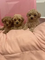 processed/60c7e974-94d4-4ebd-bb32-30a80100ba8e/facility/04c81ec7-9c4f-454d-9c88-6fcf1e255d45