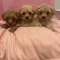 processed/60c7e974-94d4-4ebd-bb32-30a80100ba8e/facility/23bc05c3-56d0-4314-b3c5-2e6d28a54af7