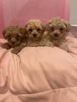 processed/60c7e974-94d4-4ebd-bb32-30a80100ba8e/facility/23bc05c3-56d0-4314-b3c5-2e6d28a54af7