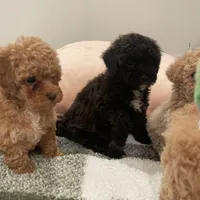 processed/60c7e974-94d4-4ebd-bb32-30a80100ba8e/facility/53c033c7-5fbf-475e-a4d9-252ae5d2092f