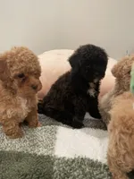 processed/60c7e974-94d4-4ebd-bb32-30a80100ba8e/facility/53c033c7-5fbf-475e-a4d9-252ae5d2092f