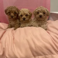 processed/60c7e974-94d4-4ebd-bb32-30a80100ba8e/facility/85b68a38-379b-4e31-9f3c-e7f2d9316f94