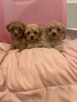 processed/60c7e974-94d4-4ebd-bb32-30a80100ba8e/facility/85b68a38-379b-4e31-9f3c-e7f2d9316f94