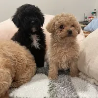 processed/60c7e974-94d4-4ebd-bb32-30a80100ba8e/facility/88ba27e2-678f-4767-a1f6-751fc958ab80