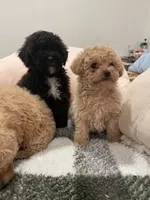 processed/60c7e974-94d4-4ebd-bb32-30a80100ba8e/facility/88ba27e2-678f-4767-a1f6-751fc958ab80