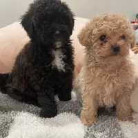 processed/60c7e974-94d4-4ebd-bb32-30a80100ba8e/facility/95086259-6361-47c3-a53e-a141285e62ba