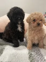 processed/60c7e974-94d4-4ebd-bb32-30a80100ba8e/facility/95086259-6361-47c3-a53e-a141285e62ba