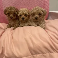 processed/60c7e974-94d4-4ebd-bb32-30a80100ba8e/facility/c7af0e96-a794-4499-adb8-6c7bcd8b775f