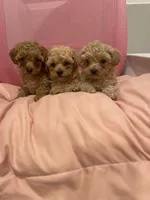 processed/60c7e974-94d4-4ebd-bb32-30a80100ba8e/facility/c7af0e96-a794-4499-adb8-6c7bcd8b775f