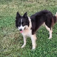 processed/60cdfa81-49aa-42cb-b183-747af21cc140/facility/39e2c6d5-1c85-4ea9-a0ae-d52fd7843588