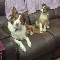 processed/60cdfa81-49aa-42cb-b183-747af21cc140/facility/80bfb1bf-8c71-4ddc-a62e-bea0ec794bf8