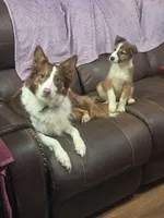 processed/60cdfa81-49aa-42cb-b183-747af21cc140/facility/80bfb1bf-8c71-4ddc-a62e-bea0ec794bf8