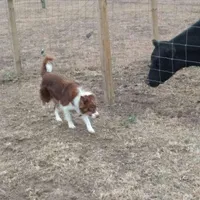 processed/60cdfa81-49aa-42cb-b183-747af21cc140/facility/924a7c44-8da5-43d7-85f3-e67b0efd0e53