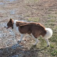 processed/60cdfa81-49aa-42cb-b183-747af21cc140/facility/b549182b-b19a-4b47-8107-42686750b7f0