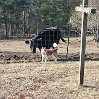 processed/60cdfa81-49aa-42cb-b183-747af21cc140/facility/c5c697e2-8979-4d5f-b84b-75711402c1cb