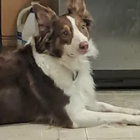 processed/60cdfa81-49aa-42cb-b183-747af21cc140/facility/ee976582-e62b-4591-b948-0915a740942c